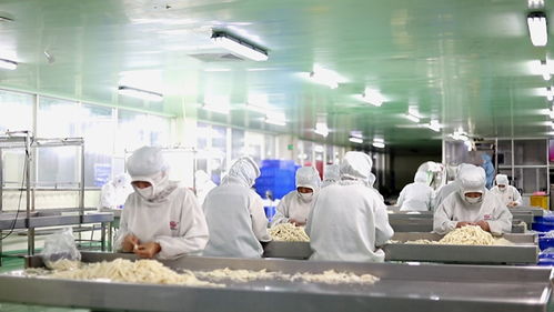 詔安速度催生臺商方陣 臺資水產養殖產業鏈加速成型