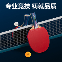 紅雙喜(DHS)天極藍(lán) 直拍 單只裝文體用品和得力(deli)安格耐特FH256文體用品